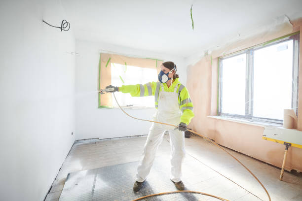 Best Black Mold Removal  in Bell Gardens, CA