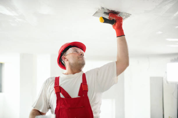 Best Mold-Related Health Consultation  in Bell Gardens, CA